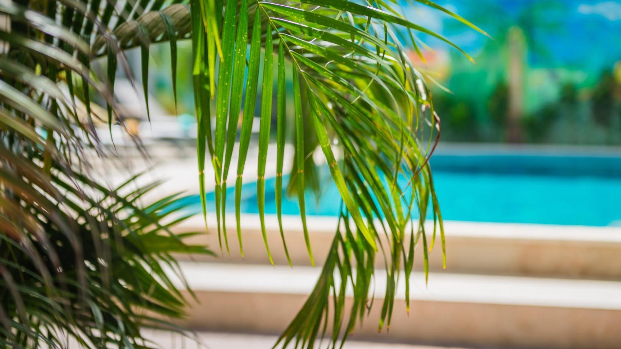 Casita Palma Boutique Resort Kralendijk  Luaran gambar
